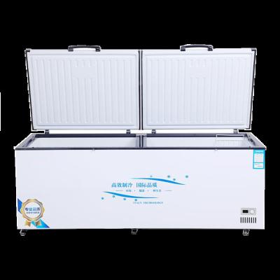 China Double-temperature Double-temperature Freezer Large Capacity Commercial Freezer Refrigerator Freezer Copper Tube Horizontal Large Freezer for sale