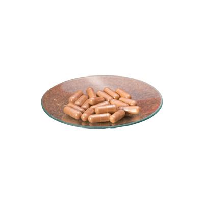 China Health Food Ganoderma Lucidum Extract Capsule triterpenoids 1% & polysaccharide 40% for sale