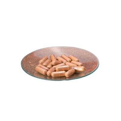 China Health Food Top-Choice Value Ganoderma Lucidum Extract Capsule - 1% Triterpenes & 40% Polysaccharide for sale