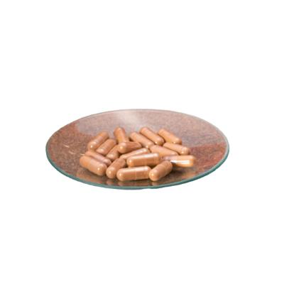 China Health Food Budget-Friendly Health Product: Ganoderma Lucidum Extract Capsule - 1% Triterpenoids & 40% Polysaccharide for sale