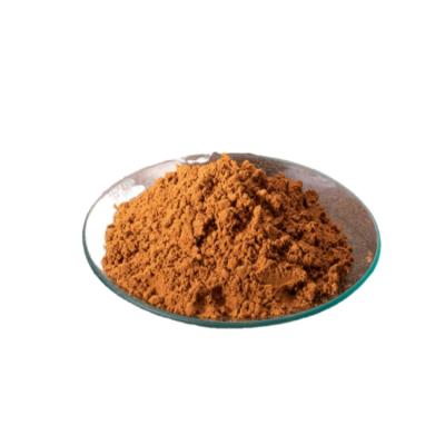 China Health Food Superior Taiwan Antrodia Camphorata Extract Powder - 1.5% Triterpene & 10% Polysaccharides for sale