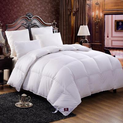 China Comfortable Feeling Hot Sale Bedding Hotel Cotton Comforter For Sleep for sale