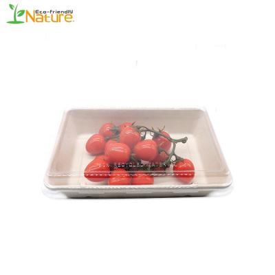 China Disposable Sushi Tray Biodegradable Compostable Bagasse Sugarcane Disposable Tray for sale