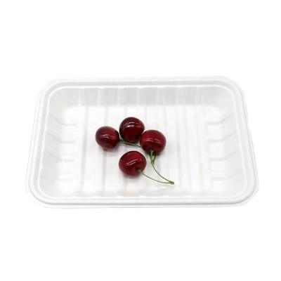 China Biodegradable 100% Disposable Sugar Cane Bagasse Rectangle Food Meat Tray for sale