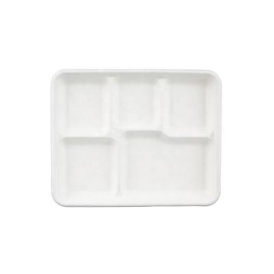 China Ambient Sugar Cane Lunch Tray Sugar Cane Disposable Bagasse Tray 5 Compartment Bagasse Tray for sale