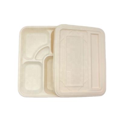 China Rectangle Food Dish 5 Compartment Eco Friendly Biodegradable Food Tray With Lid for sale