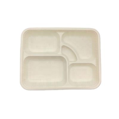 China Sustainable Disposable Cornstarch Meat Trays Disposable Cornstarch Trays Biodegradable Cornstarch Trays With Lid for sale