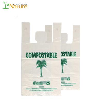 China Eco-friendly Custom Printing Biodegradable Barrier Logo PLA Fruit Plastic Grocery Bag for sale