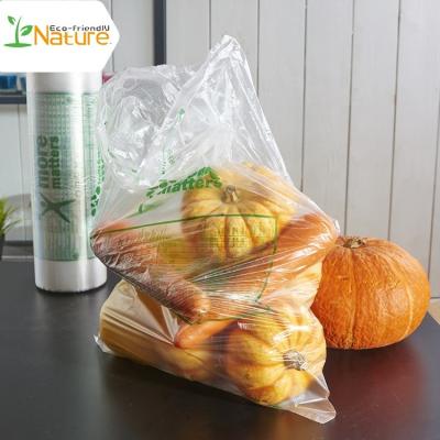 China BIODEGRADABLE Sustainable Household Carry PLA To Carry Plastic Biodegradable Shopping Bag for sale