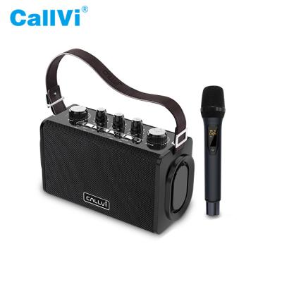 China China Factory Supply Size Quality Music Speaker Sound Amplifier Speaker Portable BT Speaker With TF Radio With Microphone V-830 V-830 for sale