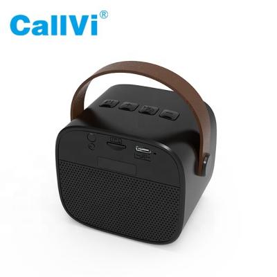 China Callvi W2 Classroom Mini BT Music Player With Microphone With Wireless Microphone Speaker Good Quality Portable Sound Amplifier for sale