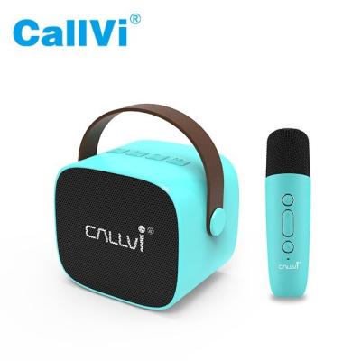 China High Quality Classroom Callvi W2 Amplifier Music Player With Portable Mini Karaoke Speaker With Wireless Microphone for sale