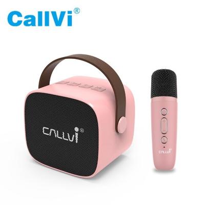 China Portable Classroom Callvi W2 Amplifier PA Speaker Music Player Radio with Mini Karaoke for sale