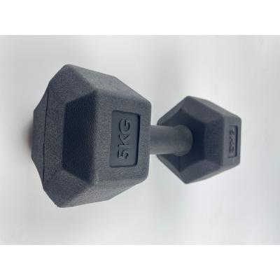 China Universal Gym Mute Hexagon Workout Bells Best Lifting Equipment Hex Dumbbell Weight Dumbbells for sale