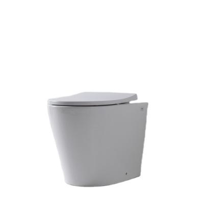 China Modern Ceramic Toilet Sanitary Ware One Piece Ceramic Bathroom Washdown for sale