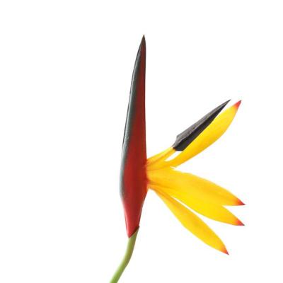 China Shininglife Material Minimalist Decorative PU Flower Artificial Strelitzia for sale