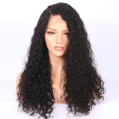 China Free Sample 100 Free Sample Brazilian Hair Transparent Body Wave Cuticle Aligned Raw Virgin Hair Wig For Black Women for sale