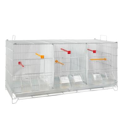 China Viable Wholesale Pet Cage Sale Finch Bird Breeding for sale