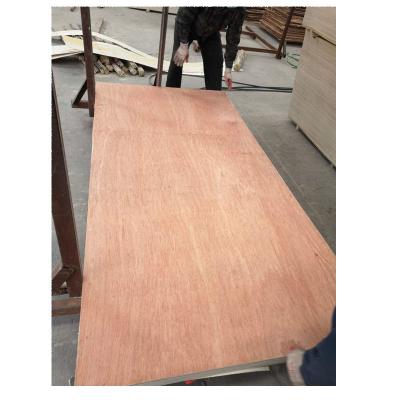 China Contemporary hot sale bintangor plywood hardwood plywood for furniture manufacturer for sale