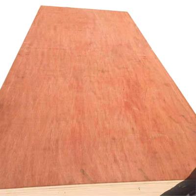 China Contemporary high quality packing plywood and commercial plywood for sale