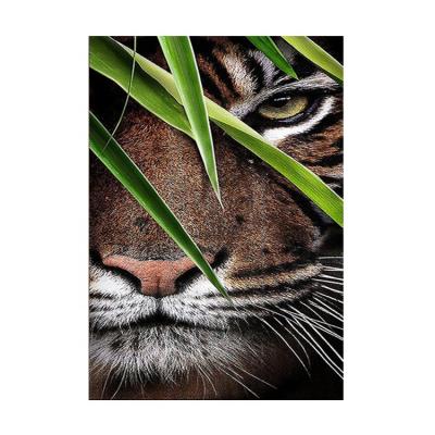 China Modern Full Diamond 5D Tiger Diamond Painting Embroidery Home Decoration animal DIY Kit Wholesale for sale