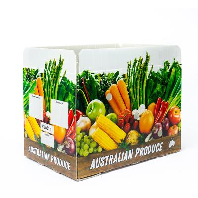 China Gravure Printing Vegetable Boxes 68L Customized Fruit /Vegetable Packaging Corrugated Plastic Box Corrugated Storage PP Packing Boxes for sale