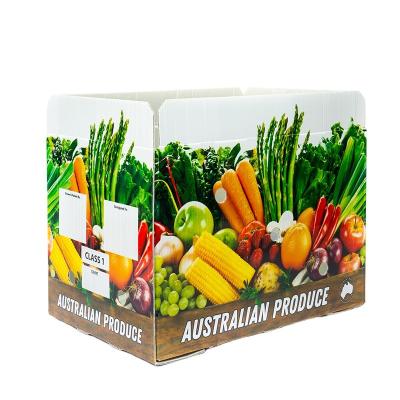 China Gravure Printing Vegetable Boxes 48L Customized Fruit /Vegetable Packaging Corrugated Plastic Box Corrugated Storage PP Packing Boxes for sale