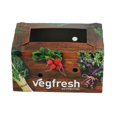 China Engraving Printing PE Broccolini Box Corrugated Plastic Box Low Price PP Corrugated Folding Plastic Vegetable Packing Box for sale