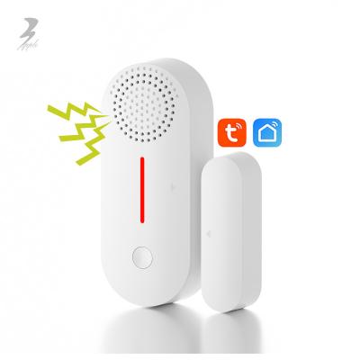 China Smart Home Door Sensor New Arrival Burglar Alert Door /Window Entry With Wireless Magnet Anti-theft Window Alarm Sensor Magnetic Door Contacts Bs2031 for sale