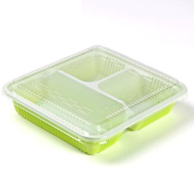 China Sustainable SZ310 3 Compartment Disposable Lunch Box for sale