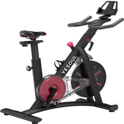 China Universal Indoor Gym Equipment Fitness Magnetic Resistance Bike Fit Exercise Stationary Spin Bikes for sale