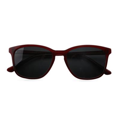 China Fashion sunglasses TY001 summer beach celebrity fashion eye pattern glass new for sale