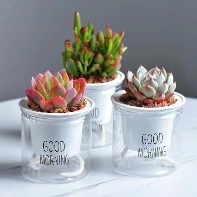 China Wholesale Modern Small Self Watering Flower Pot Plastic Garden Self Planters Garden Plant Watering Pots for sale