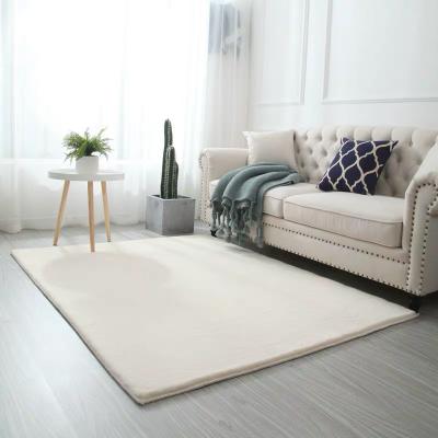 China Anti-Slip Custom Plush Floor Mat Cheap Living Room Carpet Cover Factory Direct Sales Rugs And Area Rugs for sale