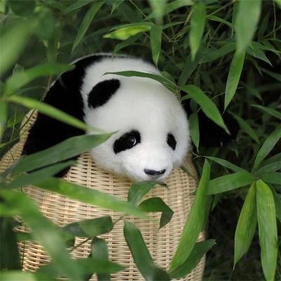 China High End Luxury Eco-friendly Material Hot Selling Panda Doll PANDA0001 Panda Bear Doll Stuffed Toys for sale