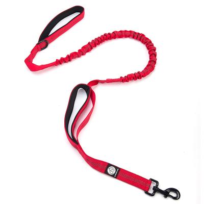 China 2021 New Strong Padded Dog Lead With Durable Two Padded Handle And Metal Loop Leash For Small Medium And Large Dogs for sale