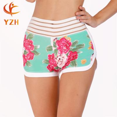 China Antibacterial Women Yoga Wear Shorts Gym Fitness Sports Shorts Sexy Women Sports for sale