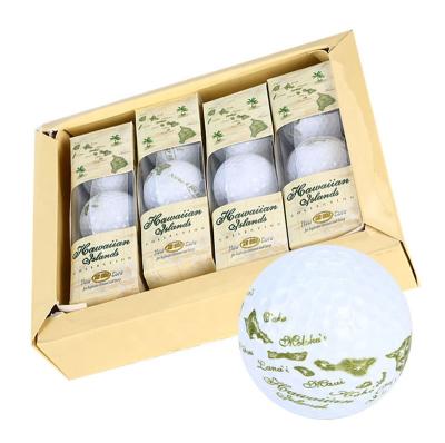 China Practice In Range 2 3 4 Piece USGA Custom Urethane Tournament Hot Selling Conforming Golf Ball for sale