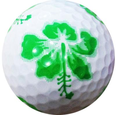 China Practice In Range China Customized Eco Golf Ball Kind Reveal Softball For Golfers for sale