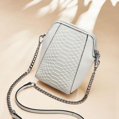 China Fashion Trends Ladies Handbag Beach Bags Crocodile Purses Mini Women Travel Bag Custom Cross - Mini Body Bags for sale