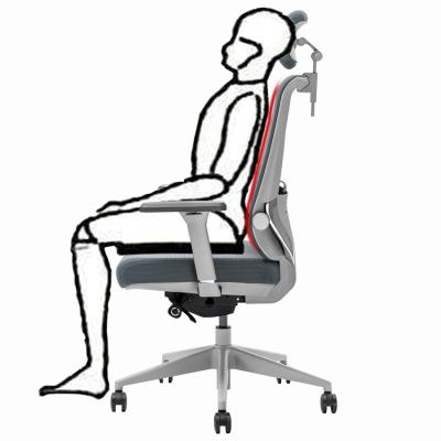 China High Quality Executive Comfortable Mesh Office Chair Ergonomic Office Adjustable (Height) Small Office Chair for sale