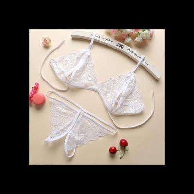 China New Design Polyester Lace Up Sexy Transparent Ladies Cutout Lingerie Set Bra And Briefs Set for sale