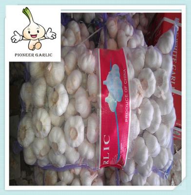 China China farm fresh organic garlic wholesale price Fresh White Garlic Exporter In China for sale