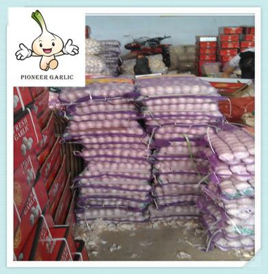 China Normal White Garlic Loose Packing 20 Kg Mesh Bag Fresh China Natural Garlic Price for sale