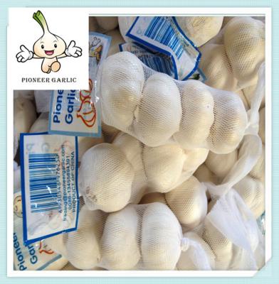 China Natural Garlic With Good Quality In China garlic price for new crop natural garlic for sale