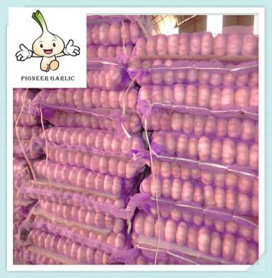 China Chinese Natural Fresh Garlic Shandong Garlic in 10kg Box (Mesh Bag Inside) for sale