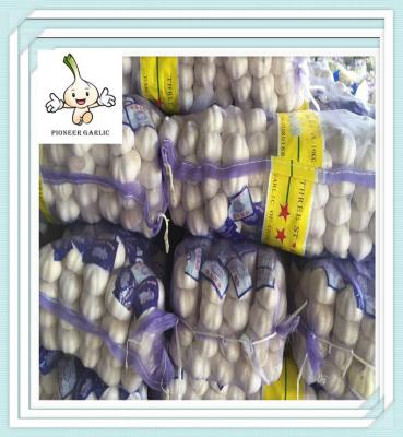 China Fresh Garlic Normal White Wholesale Market 2016 new crop for sale