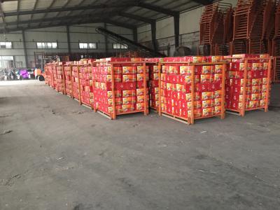 China Professional supplier garlic wholesale chinese normal white garlic fresh garlics for sale