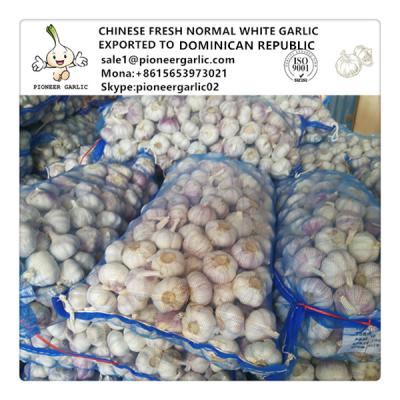 China 2018 crop farmer lowest garlic price in China Super White Garlic, Snow White Garlic for sale