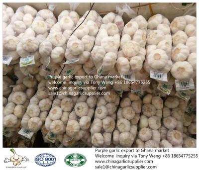 China Garlic to Ghana via Tony Wang +86 18654775255 for sale